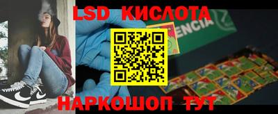 прущие грибы Кингисепп