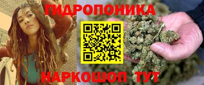 прущие грибы Кингисепп