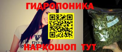 прущие грибы Кингисепп
