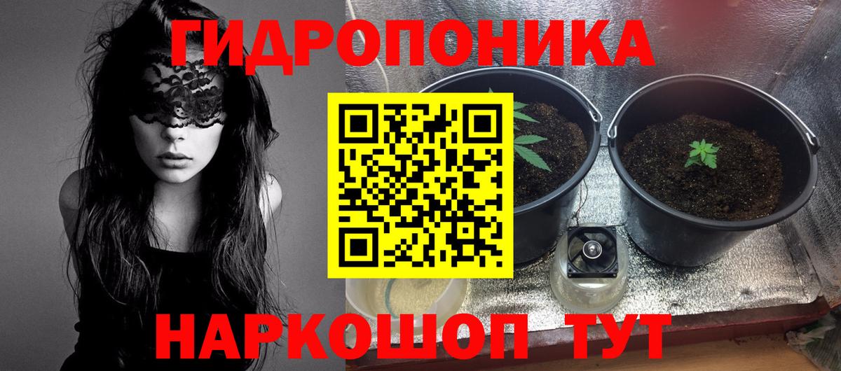 Каннабис White Widow  Вход с VPN  Котовск  Бошки Шишки конопля  Конопля SATIVA & INDICA 
